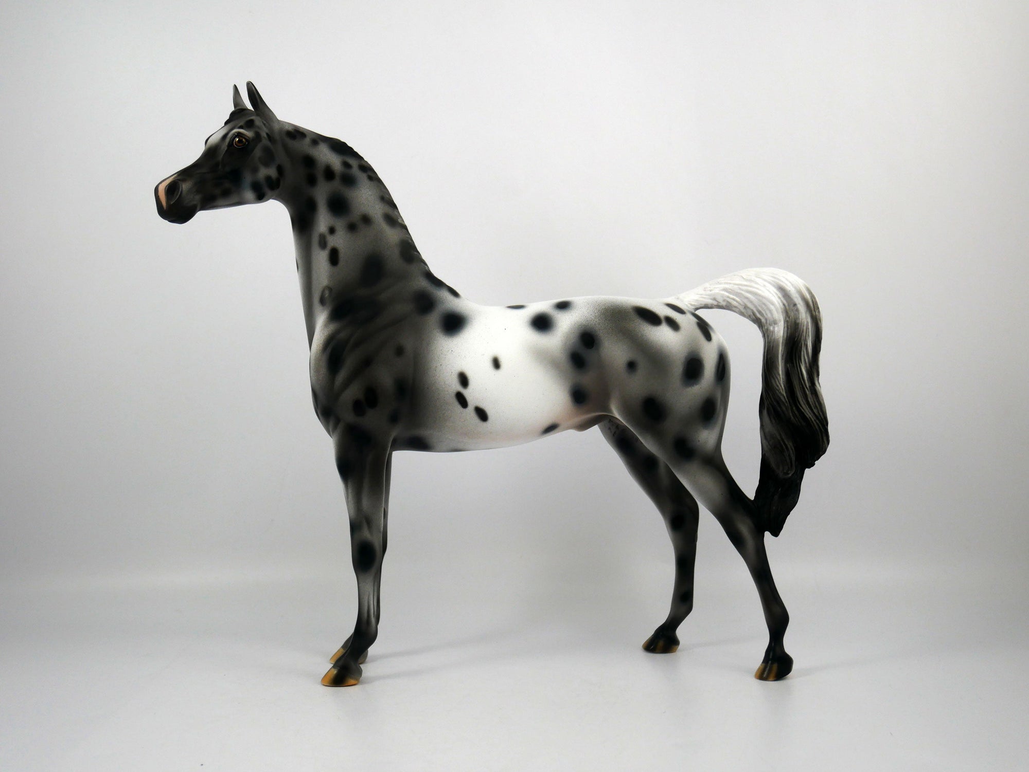 Black Sabbath-OOAK Appaloosa Arabian 1/8/21
