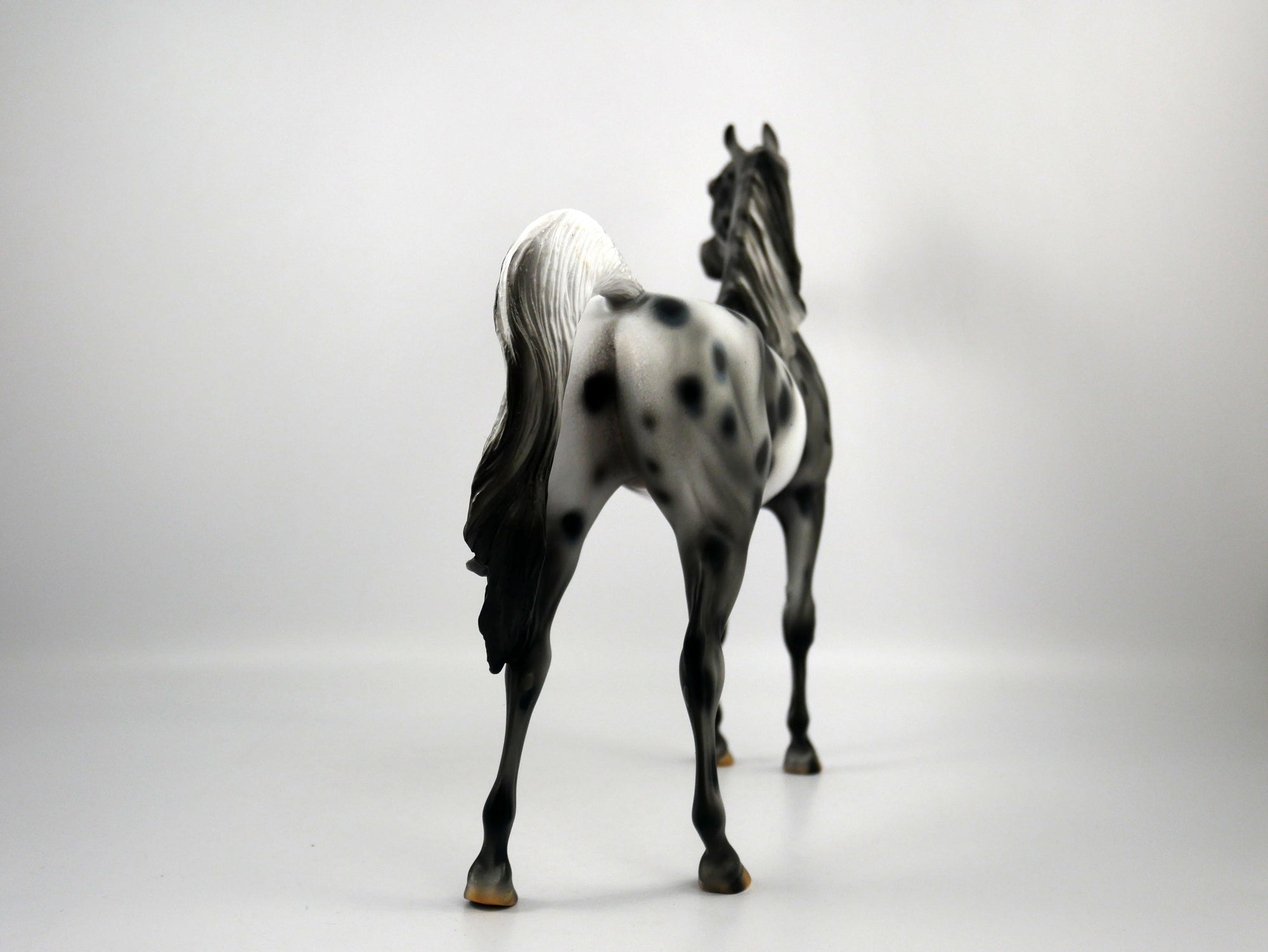 Black Sabbath-OOAK Appaloosa Arabian 1/8/21