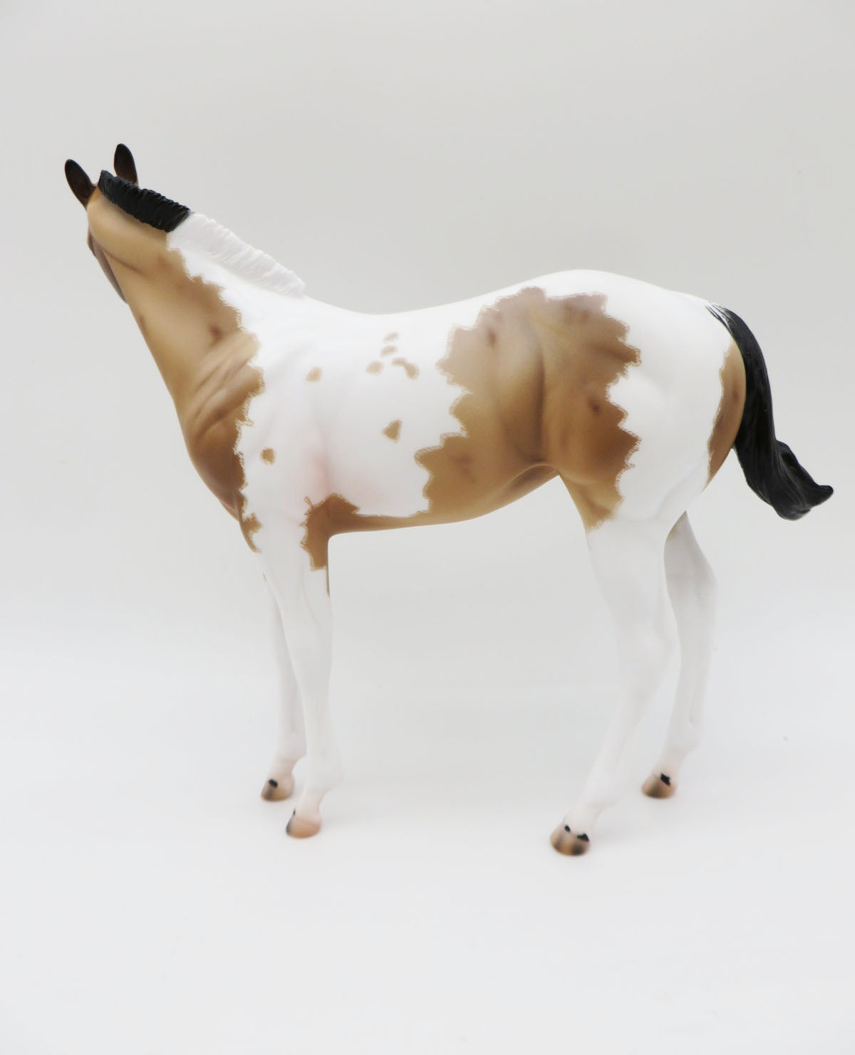 Blaine- OOAK Buckskin Roan Tobiano Weanling By Caroline Boydston 11/21/22