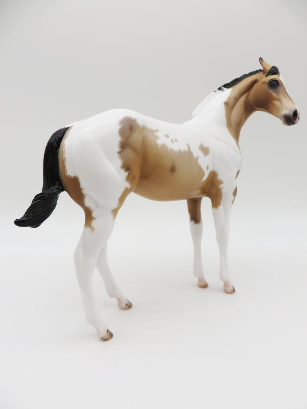 Blaine- OOAK Buckskin Roan Tobiano Weanling By Caroline Boydston 11/21/22