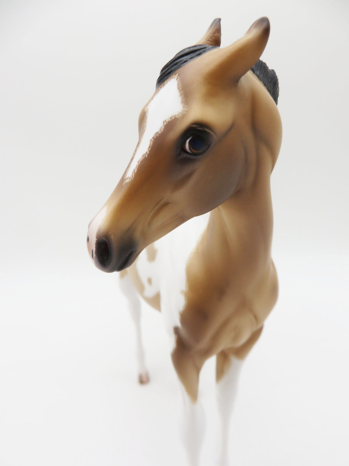 Blaine- OOAK Buckskin Roan Tobiano Weanling By Caroline Boydston 11/21/22