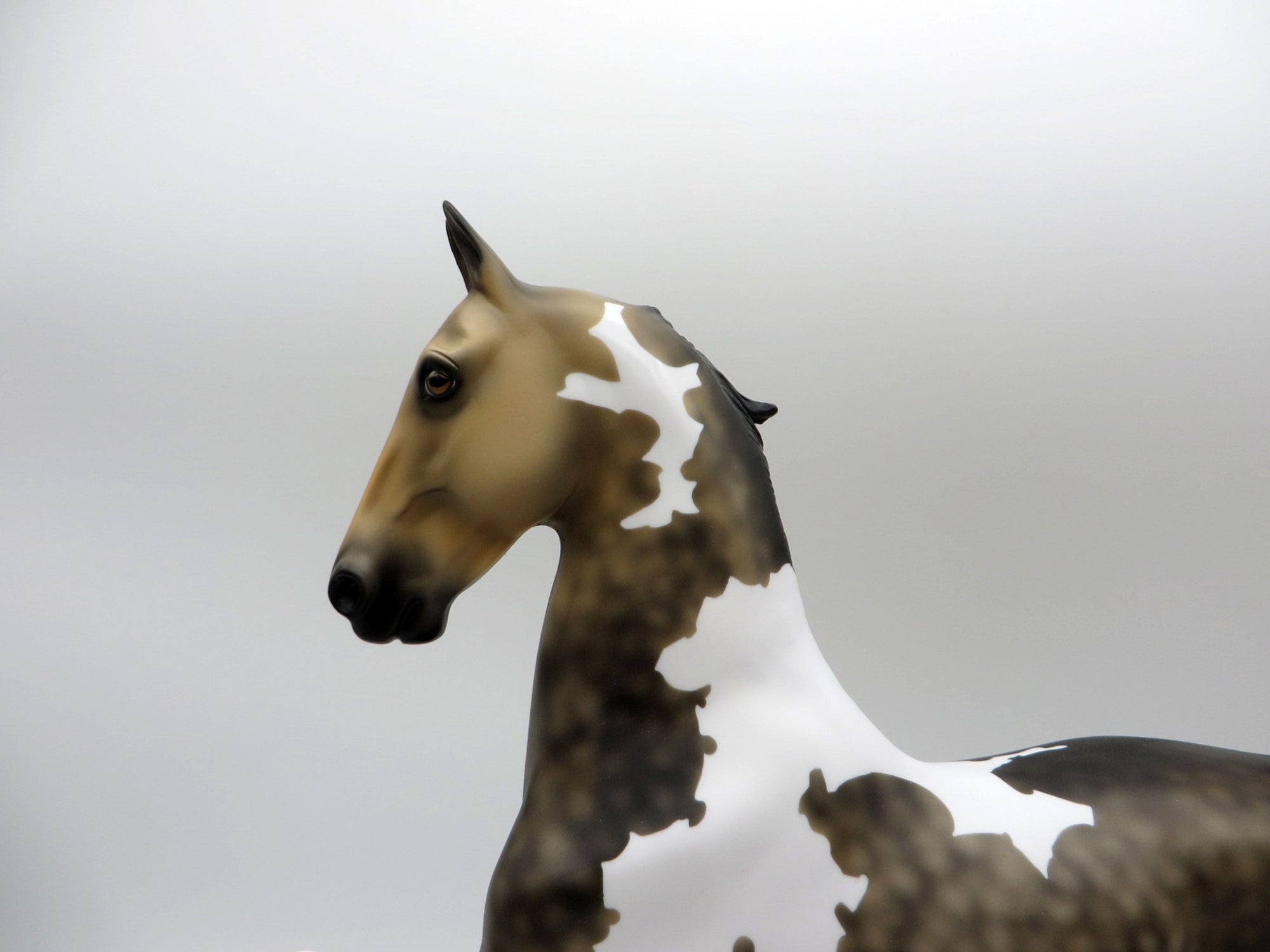 Blair -OOAK Dapple Sooty Buckskin Tobiano Saddlebred 5/21/21