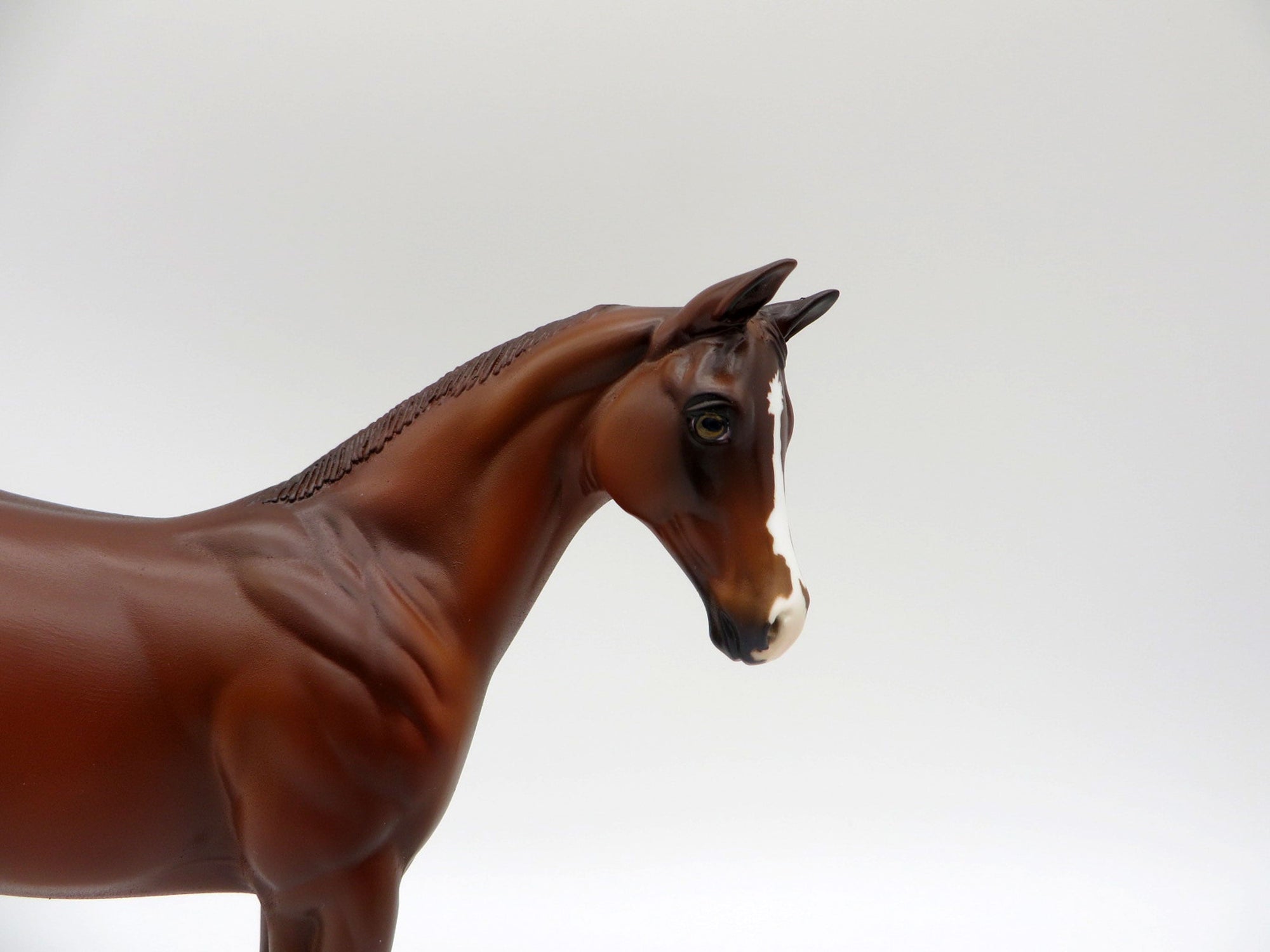 Blaziken-OOAK Chestnut Weanling Painted By Ellen Robbins 5/14/21