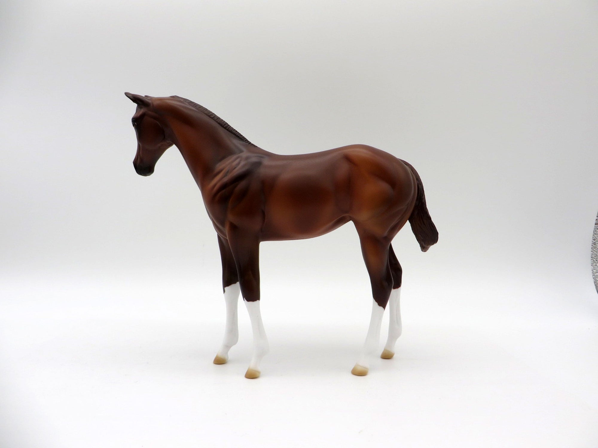 Blaziken-OOAK Chestnut Weanling Painted By Ellen Robbins 5/14/21