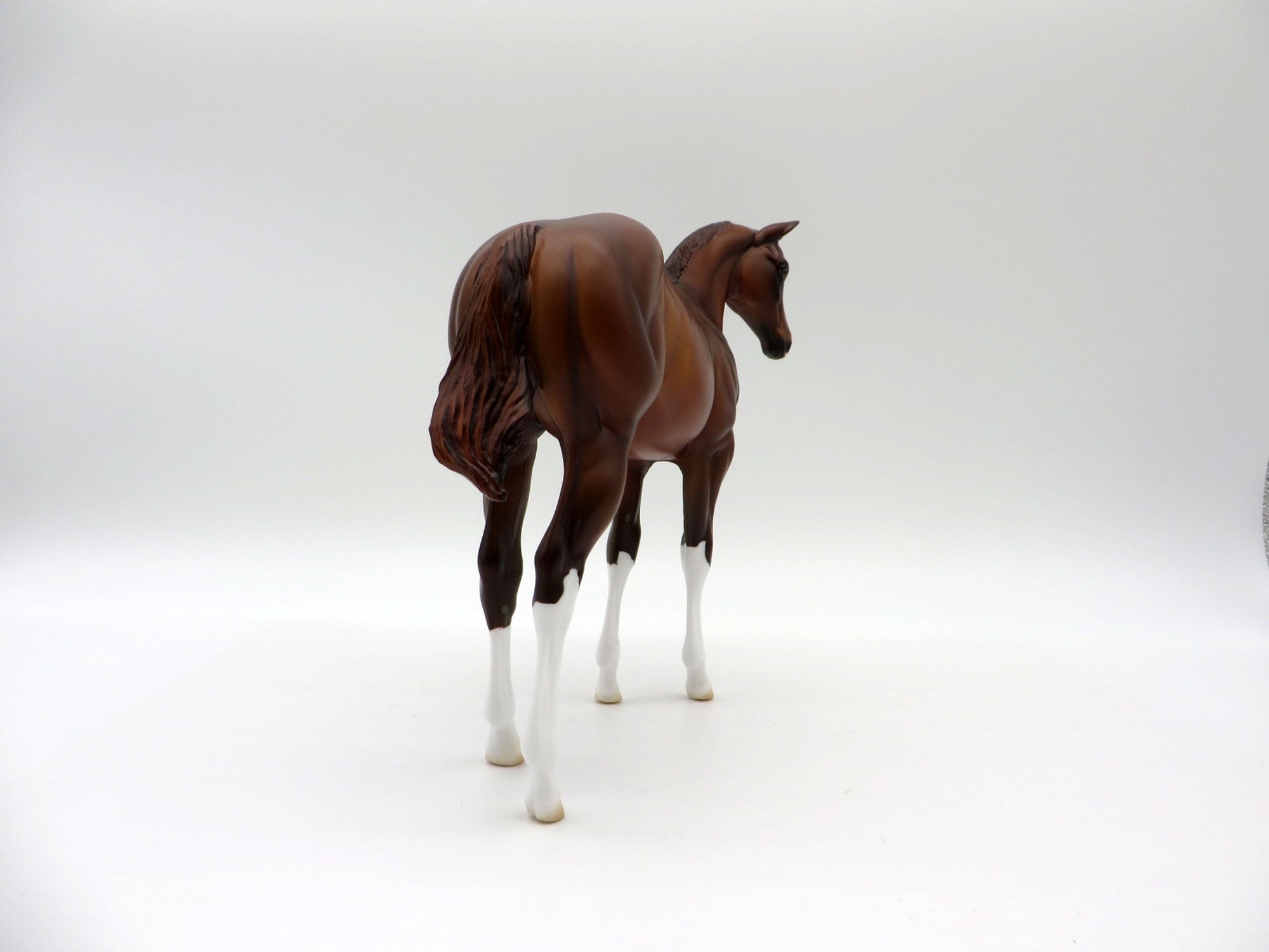 Blaziken-OOAK Chestnut Weanling Painted By Ellen Robbins 5/14/21