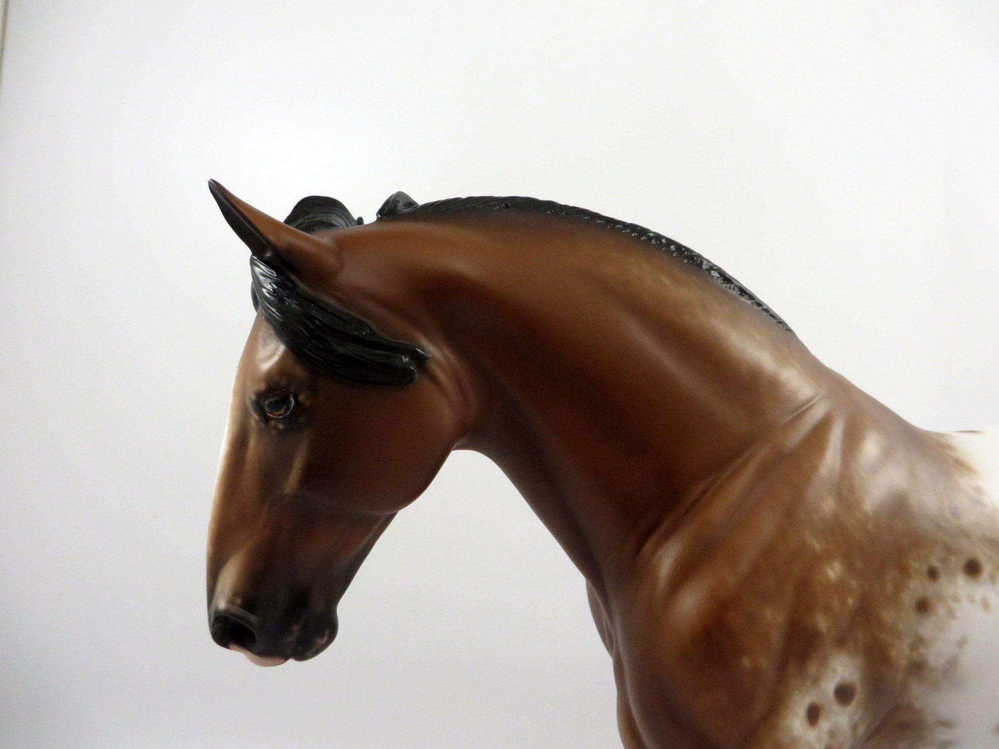 Blitzerman-OOAK Appaloosa Irish Draft Painted by Sheryl Leisure 3/5/21