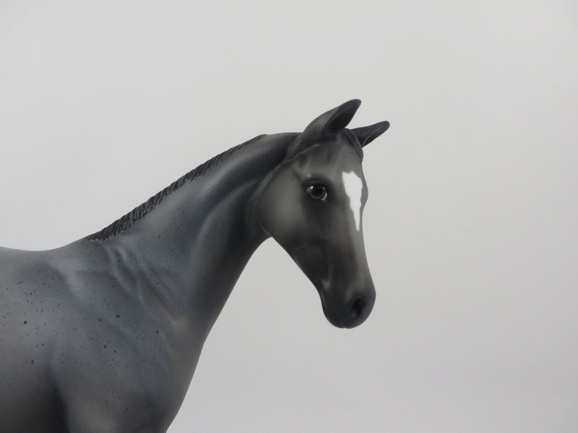 Blue 4 You-OOAK Blue Roan Weanling 2/25/21