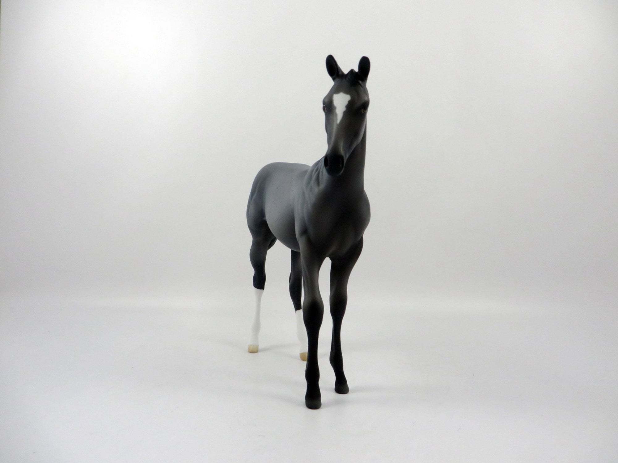 Blue 4 You-OOAK Blue Roan Weanling 2/25/21