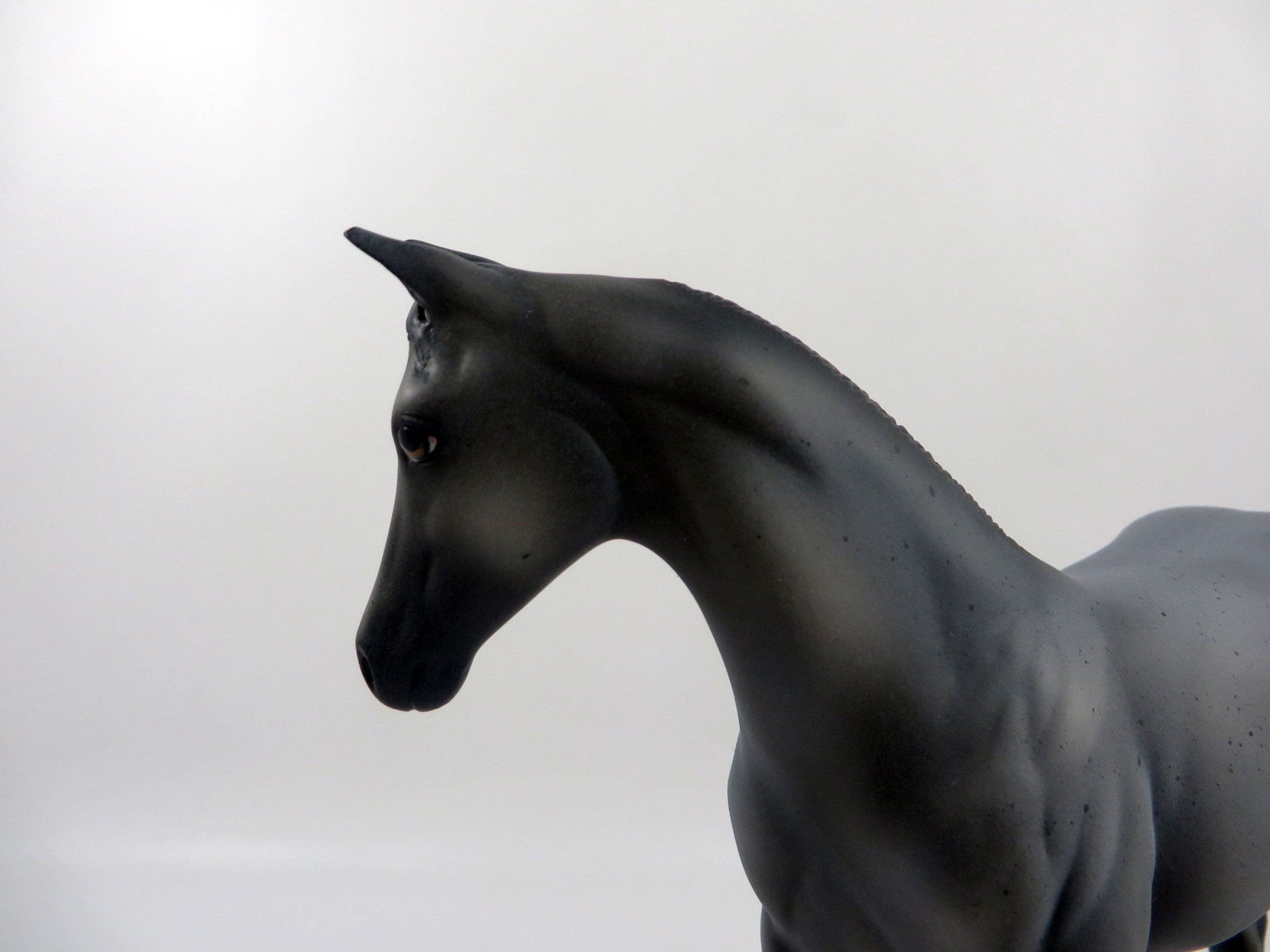 Blue 4 You-OOAK Blue Roan Weanling 2/25/21