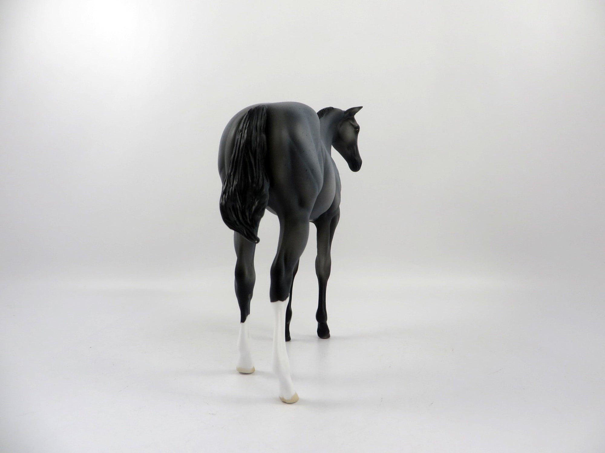 Blue 4 You-OOAK Blue Roan Weanling 2/25/21