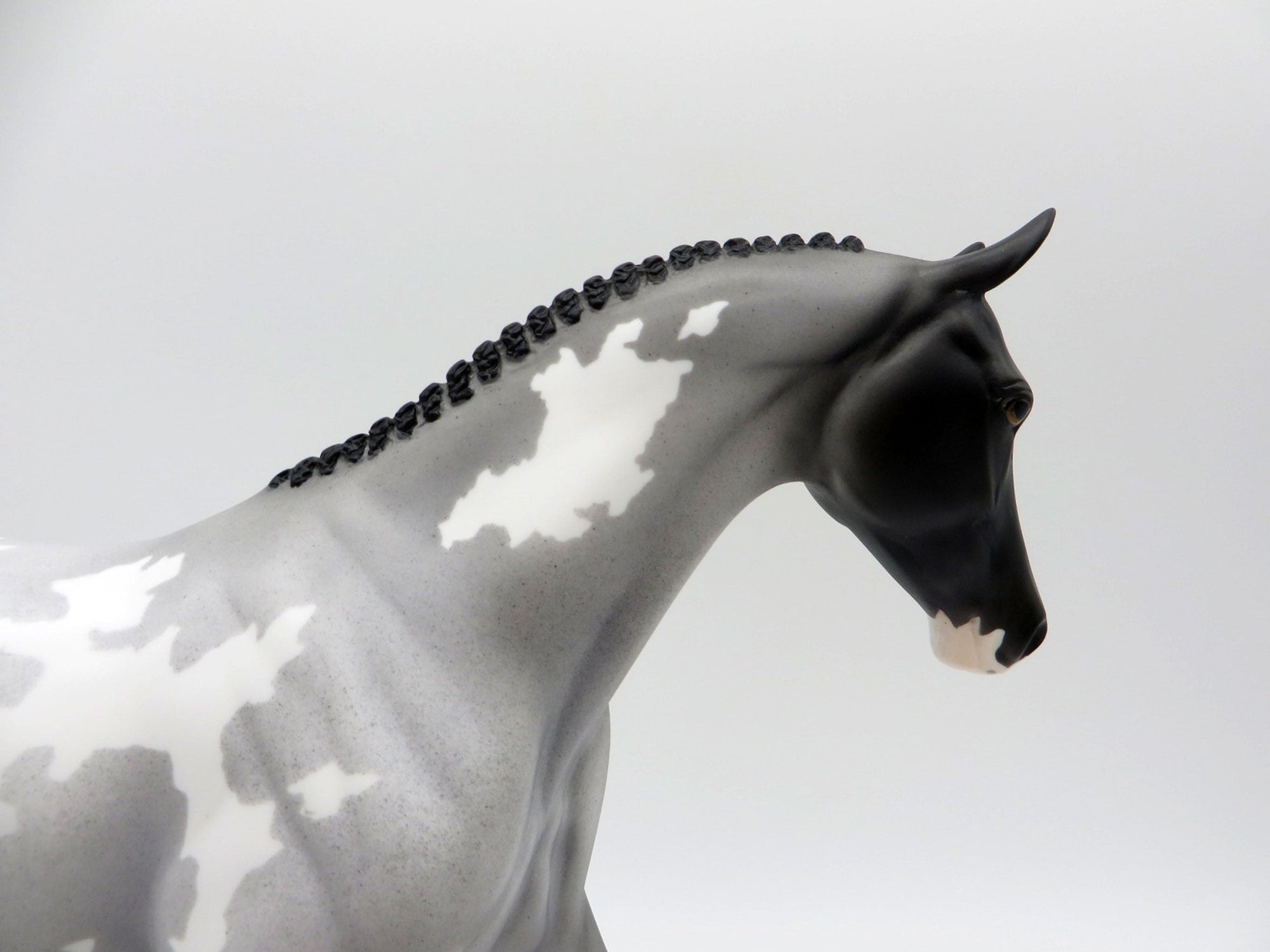 Blue Moon-OOAK Blue Roan Paint Pony SHCF 2021