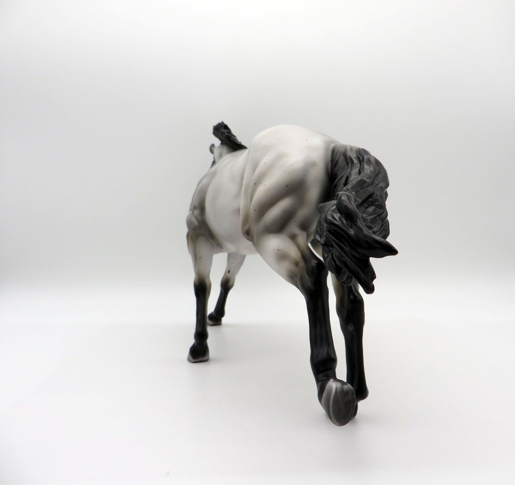 Blue Thunder-LE-? Blue Roan Running Stock Photo Show Special EQ 21