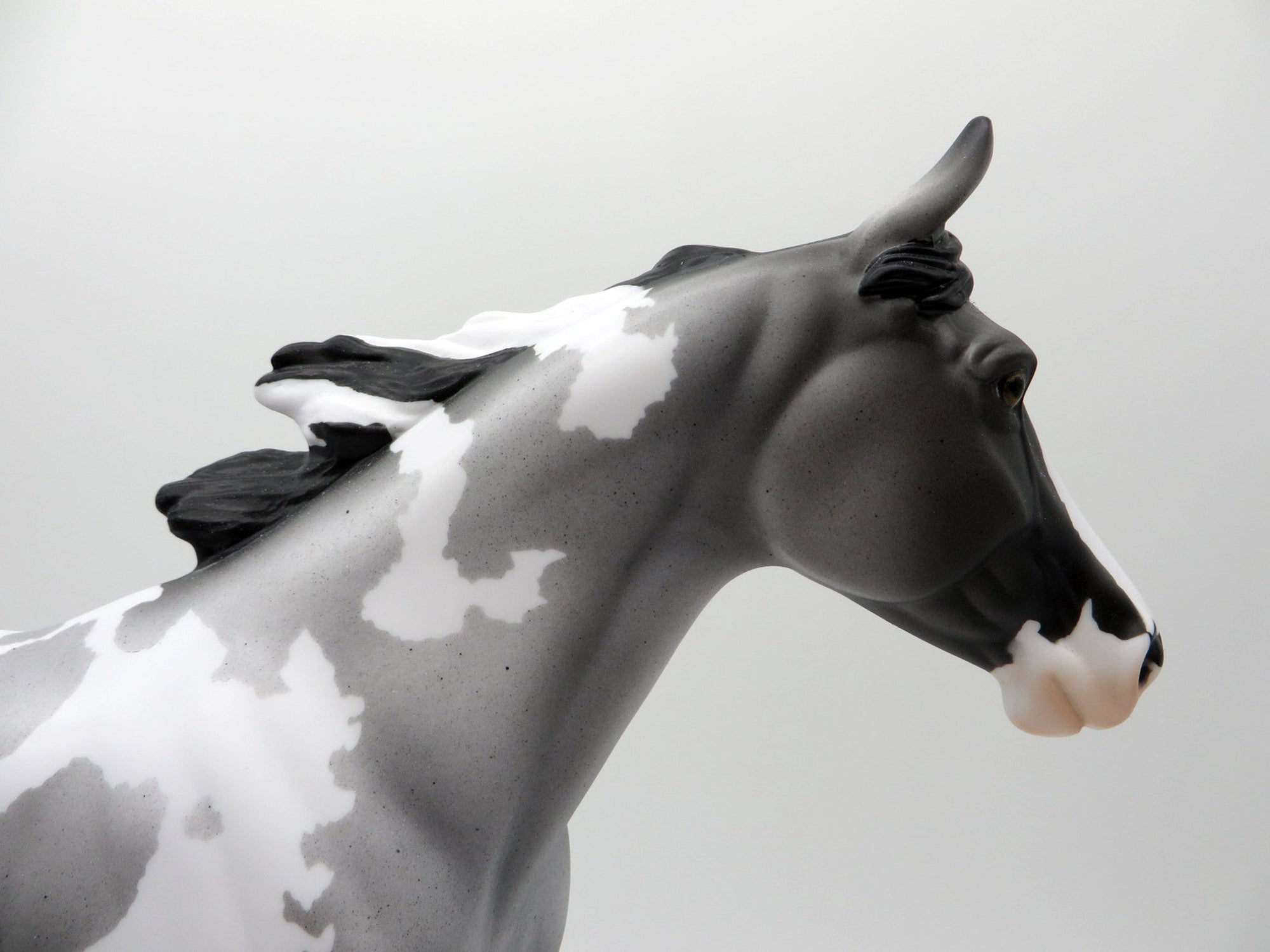 BLUE VELVET SHOES-LE-5 BLUE ROAN PAINT PALOUSE 3/26/21