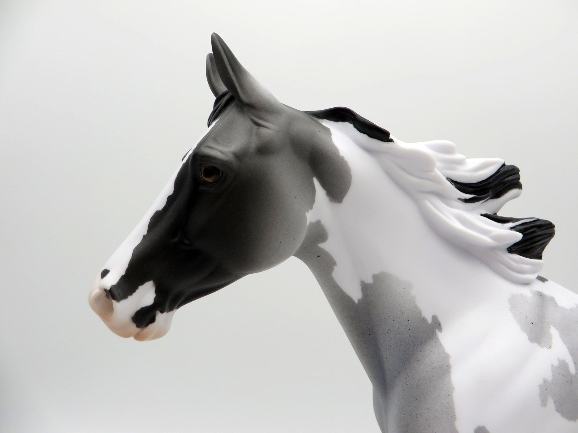 BLUE VELVET SHOES-LE-5 BLUE ROAN PAINT PALOUSE 3/26/21