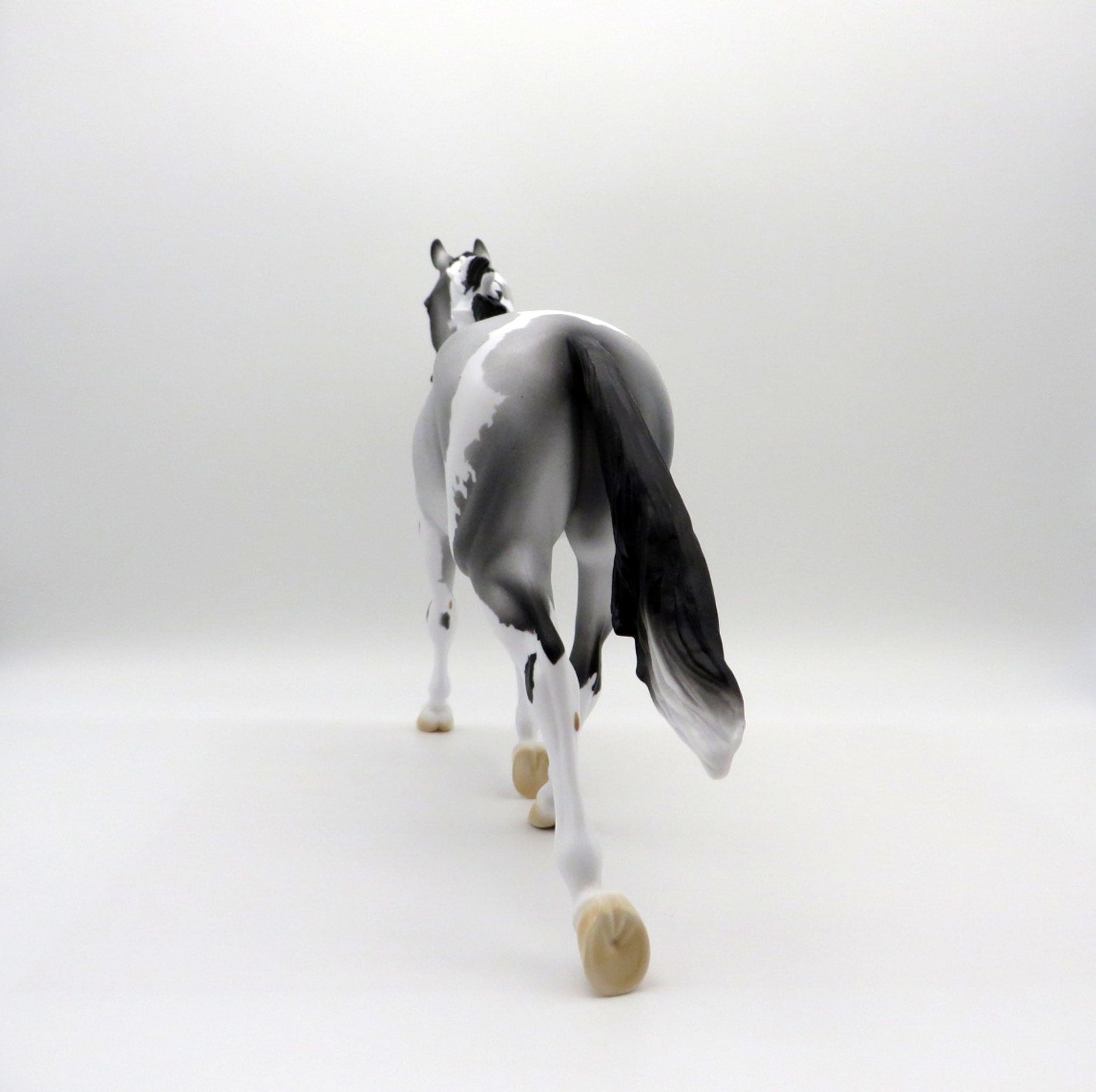 BLUE VELVET SHOES-LE-5 BLUE ROAN PAINT PALOUSE 3/26/21