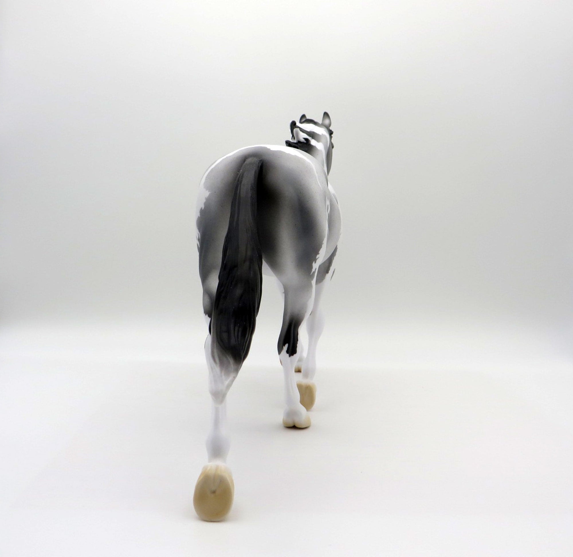 BLUE VELVET SHOES-LE-5 BLUE ROAN PAINT PALOUSE 3/26/21