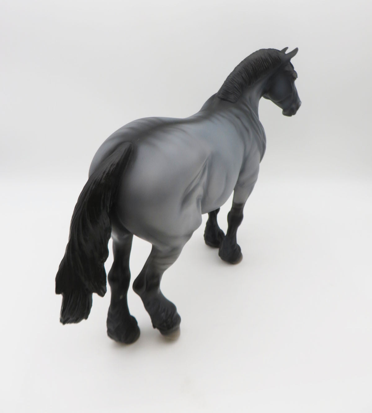 Blue-LE-15 - Maine Coon Inspired Heavy Draft By Anglea Marleau P&C 23