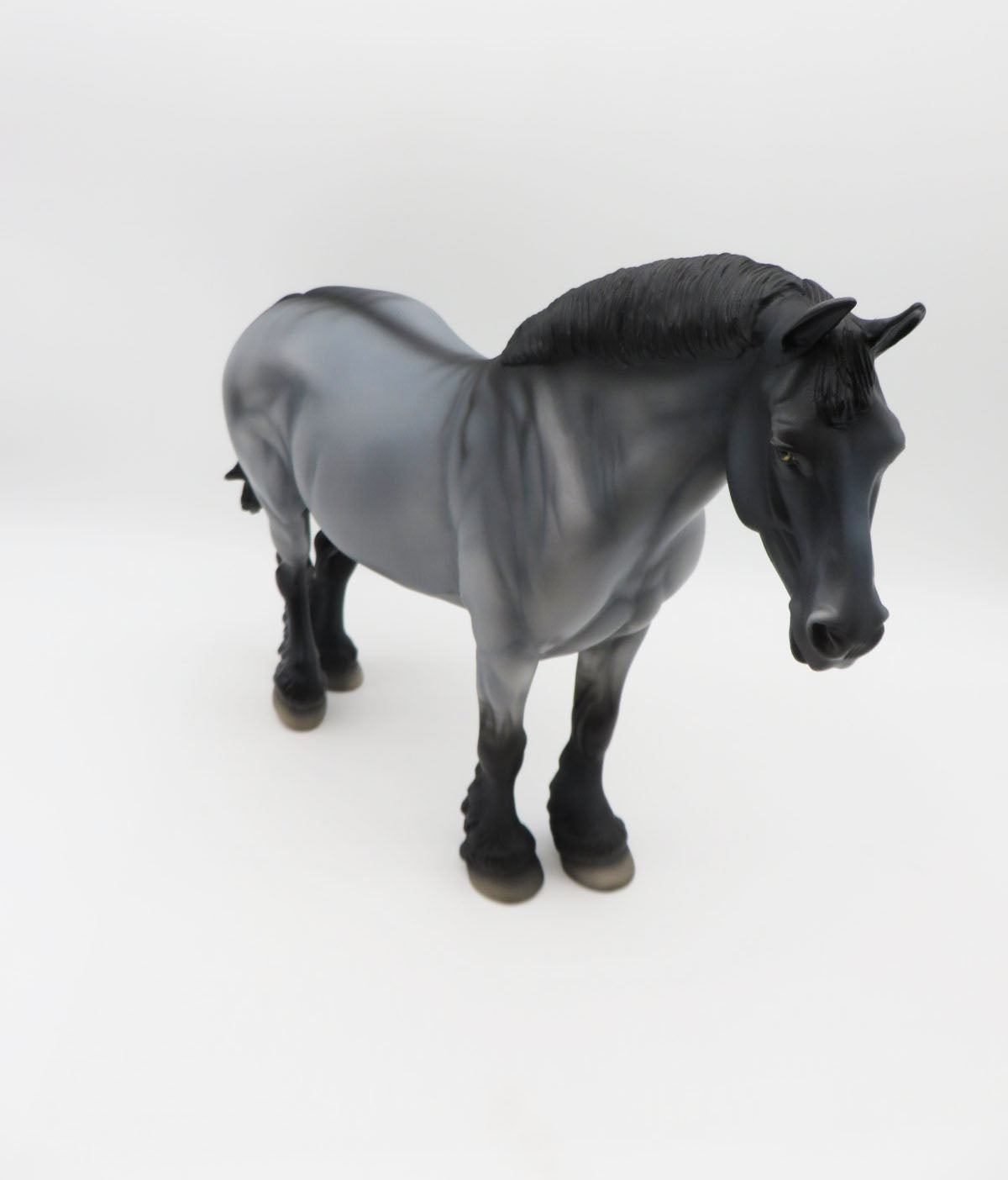 Blue-LE-15 - Maine Coon Inspired Heavy Draft By Anglea Marleau P&C 23