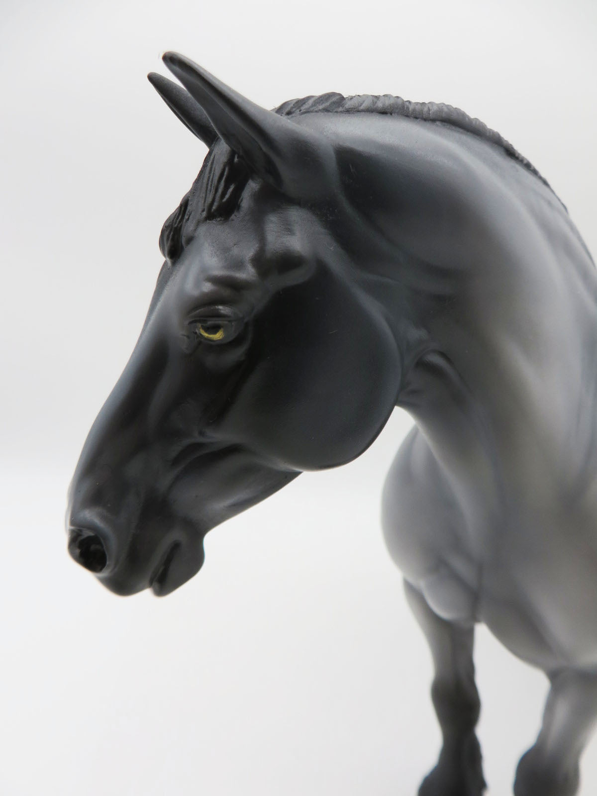 Blue-LE-15 - Maine Coon Inspired Heavy Draft By Anglea Marleau P&C 23