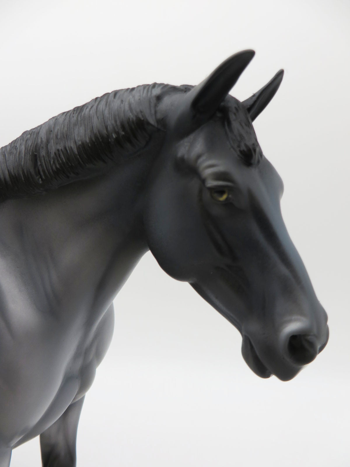 Blue-LE-15 - Maine Coon Inspired Heavy Draft By Anglea Marleau P&C 23