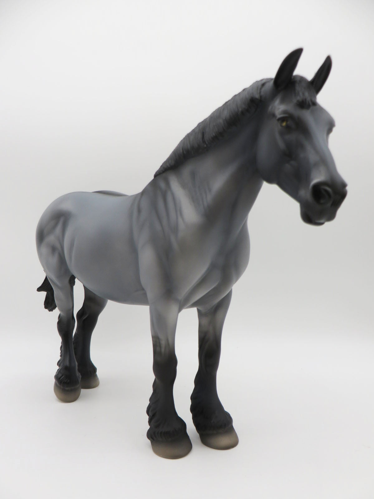 Blue-LE-15 - Maine Coon Inspired Heavy Draft By Anglea Marleau P&C 23