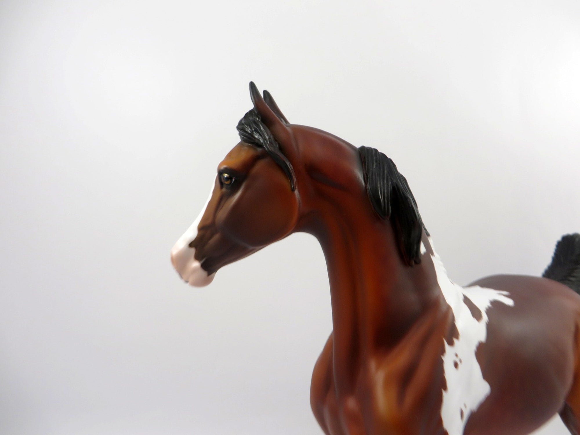 Bonanza-OOAK Paint Mare by Dawn Quick Bingo 3/21