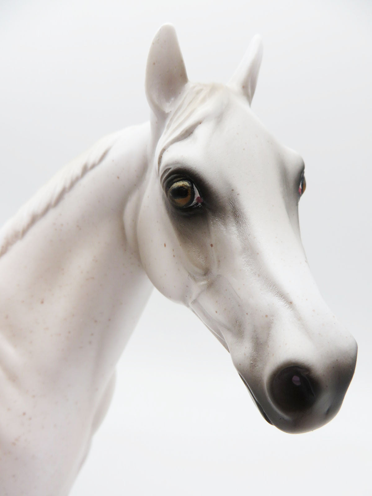 BOO-BLOOD - LE 3 - Fleabitten Grey with Bloody Shoulder ISH - Blacklight Reactive - Painted By Ashley Palmer - MM22