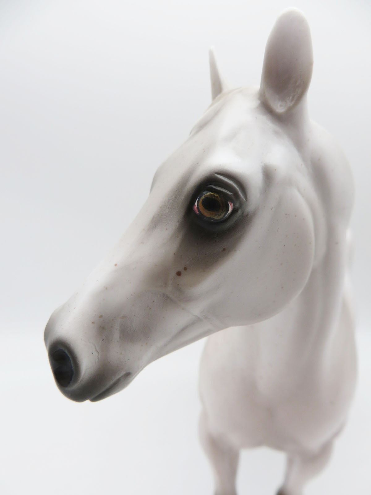 BOO-BLOOD - LE 3 - Fleabitten Grey with Bloody Shoulder ISH - Blacklight Reactive - Painted By Ashley Palmer - MM22