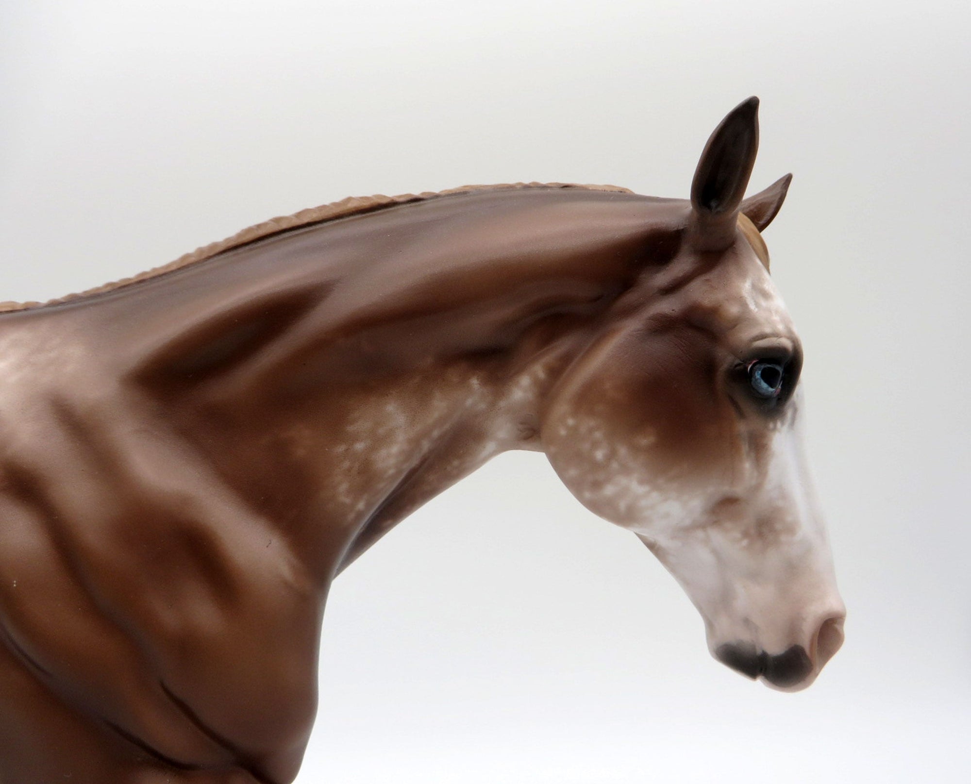 Booker T-OOAK Chestnut Sabino Remington Painted by Sheryl Leisure 11/29/21