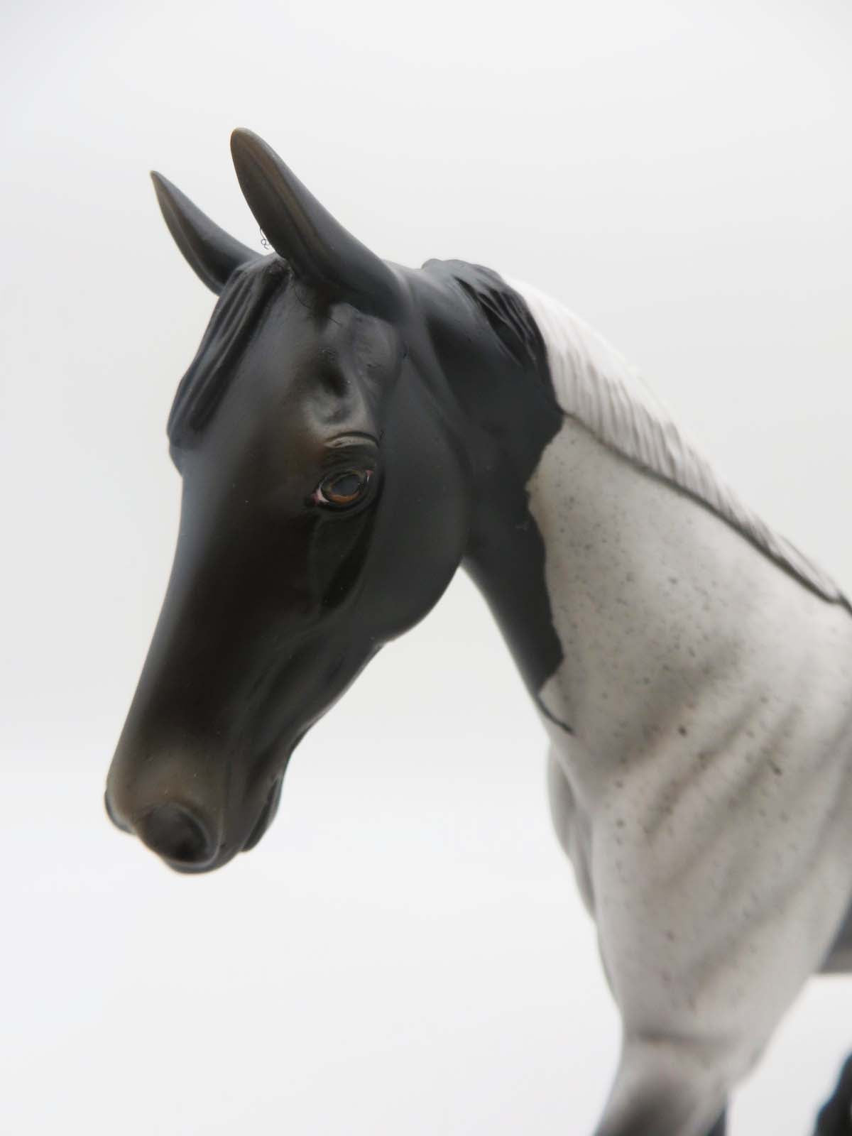 Boomer - OOAK - Appaloosa Pony By Angela Marleau P&C 23