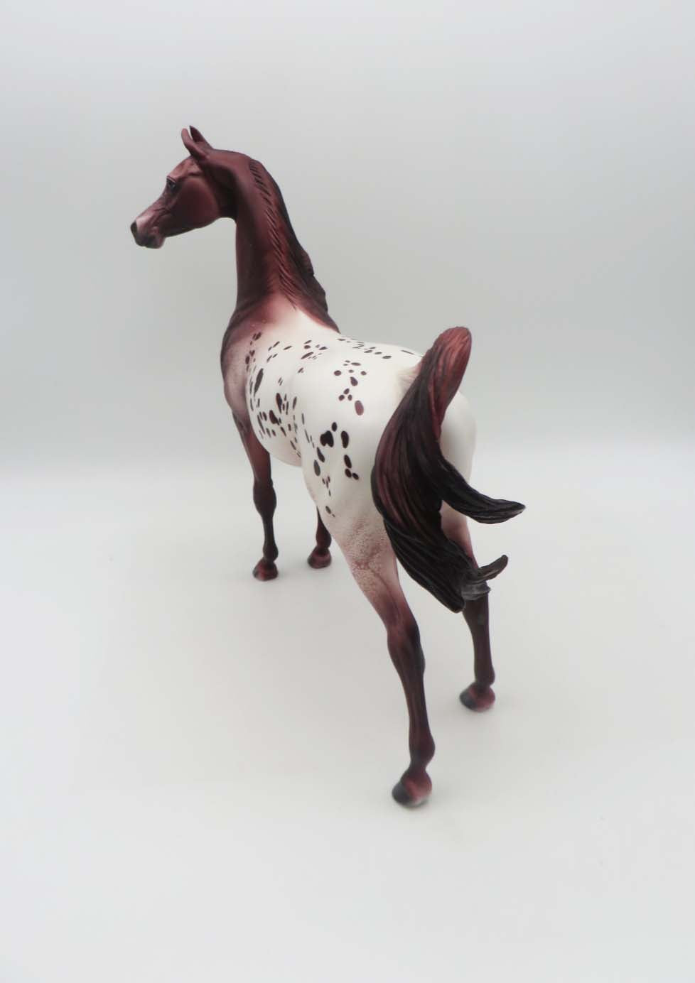 Boone - OOAK - Chestnut Appaloosa Arabian By Dawn Quick - SHCF23