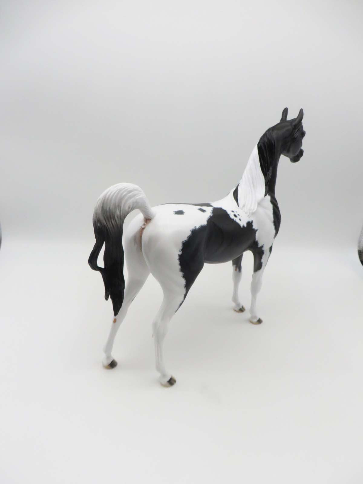 Bozeman - OOAK - Black Tobiano Arabian By Dawn Quick - SHCF23