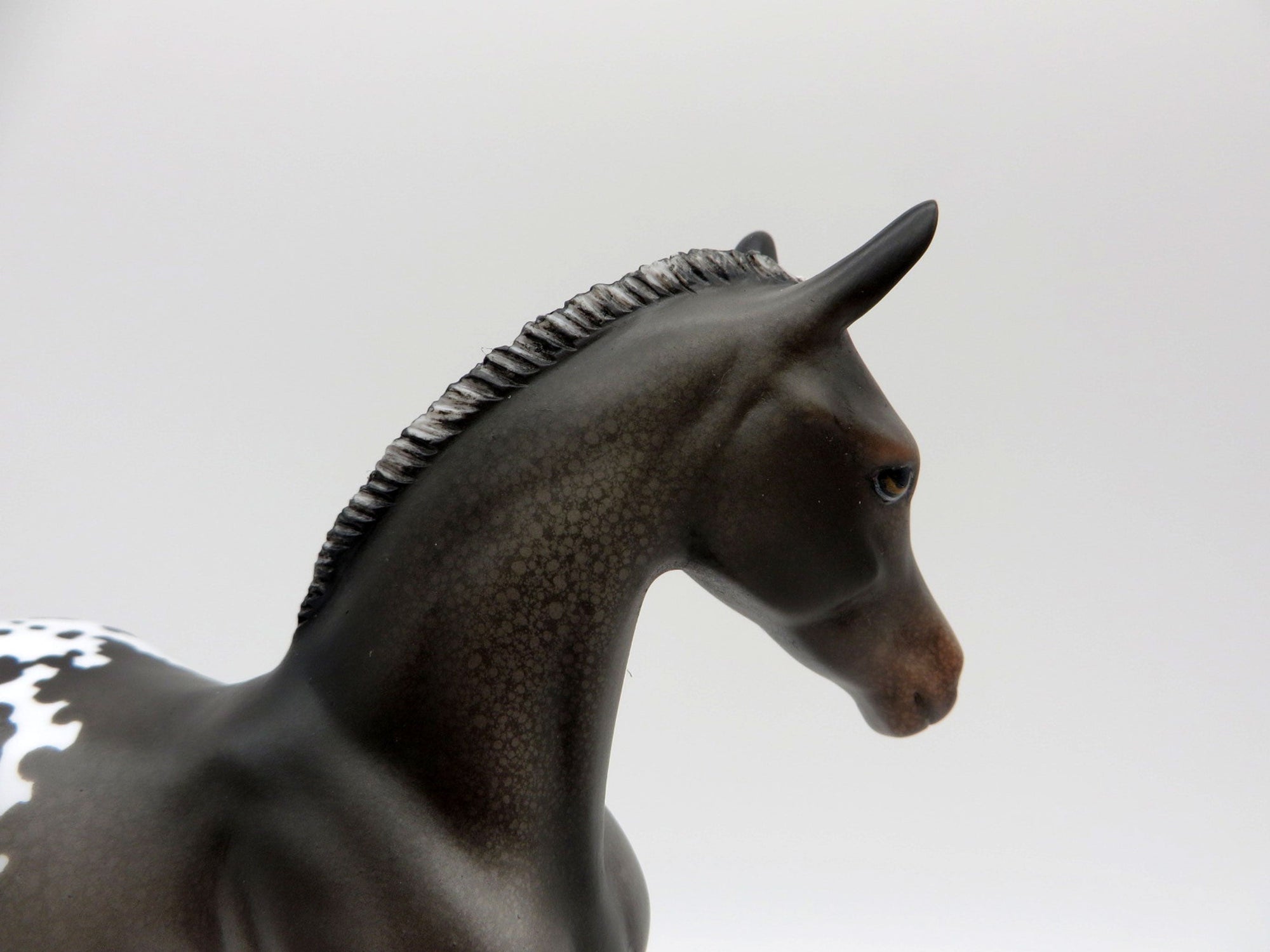 Bram-OOAK Black Appaloosa Foal Painted by Julie EQ 21