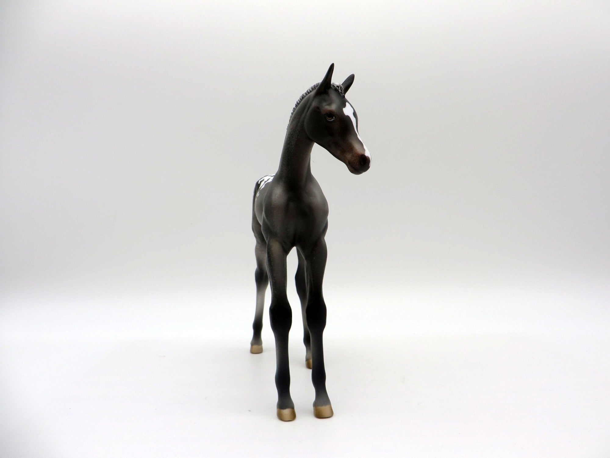 Bram-OOAK Black Appaloosa Foal Painted by Julie EQ 21