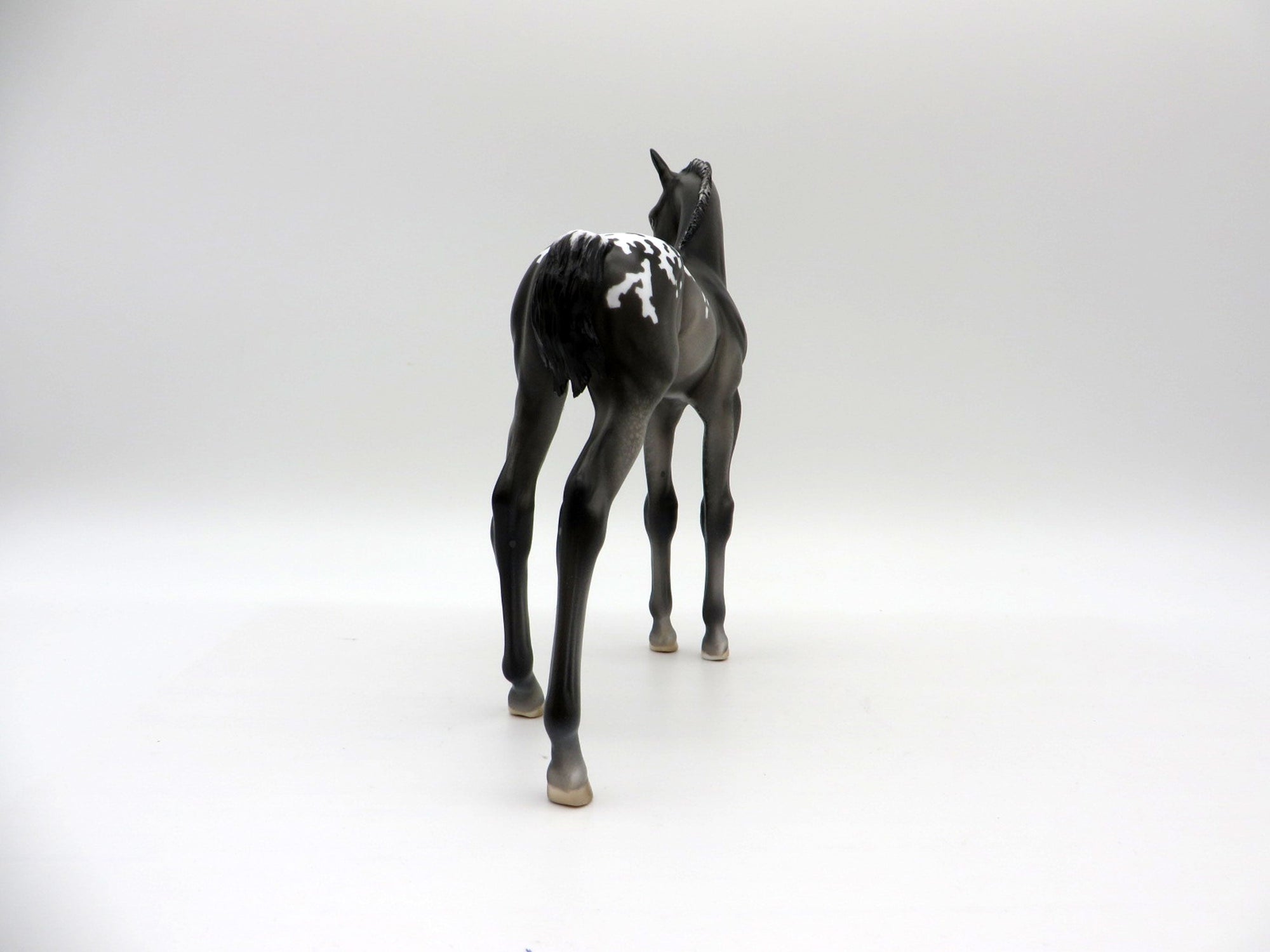 Bram-OOAK Black Appaloosa Foal Painted by Julie EQ 21