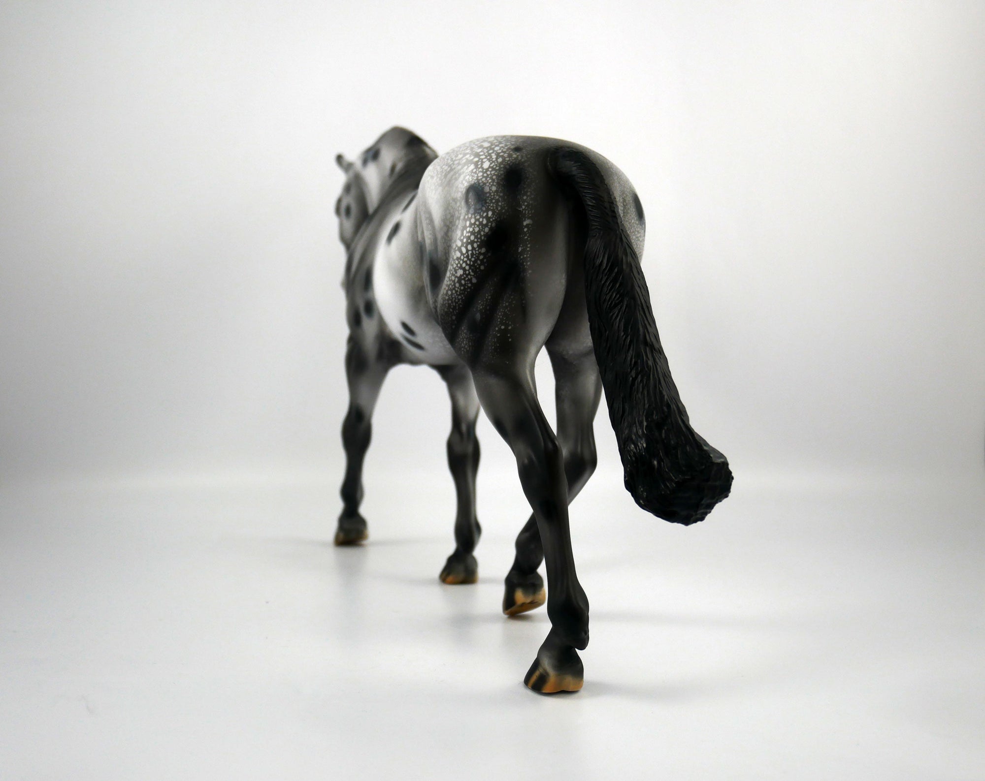 Breaking Benjamin-OOAK Appaloosa Irish Drafter 1/8/21