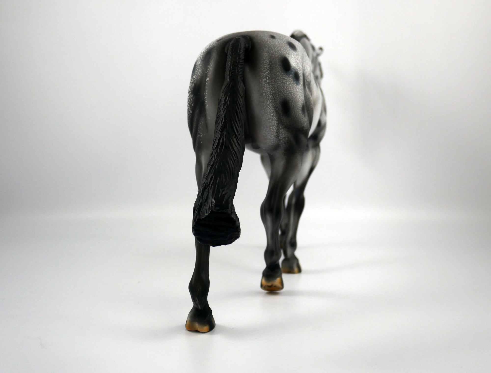 Breaking Benjamin-OOAK Appaloosa Irish Drafter 1/8/21