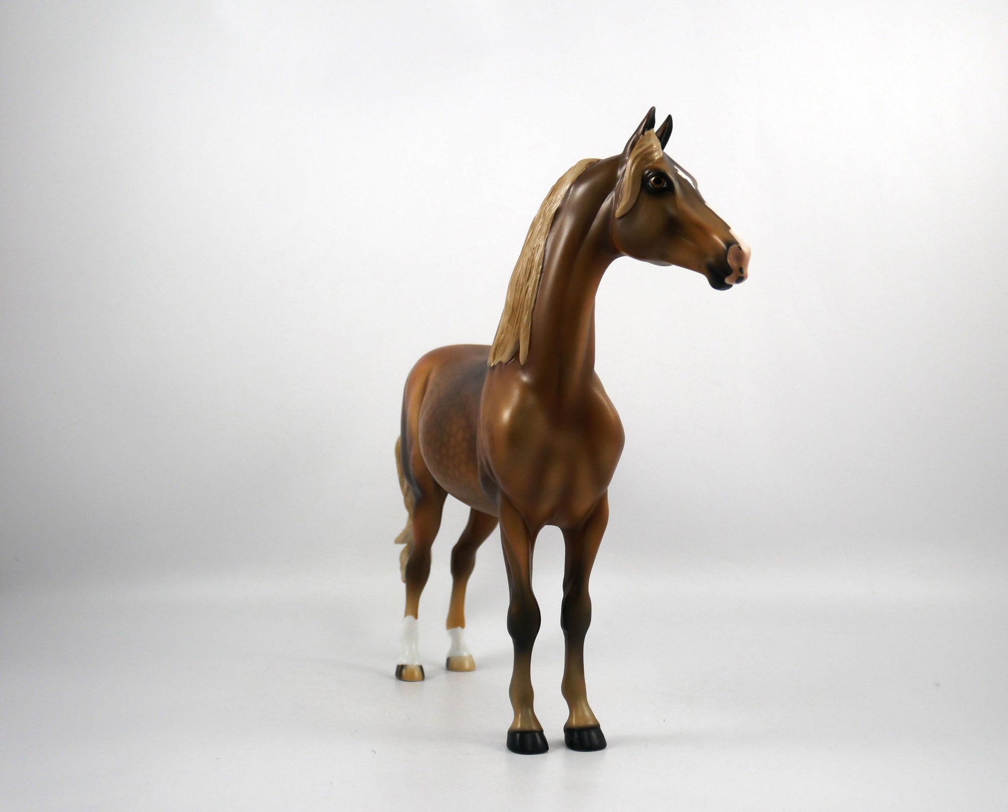 Brees-LE-15 Dapple Chestnut Morgan SB21