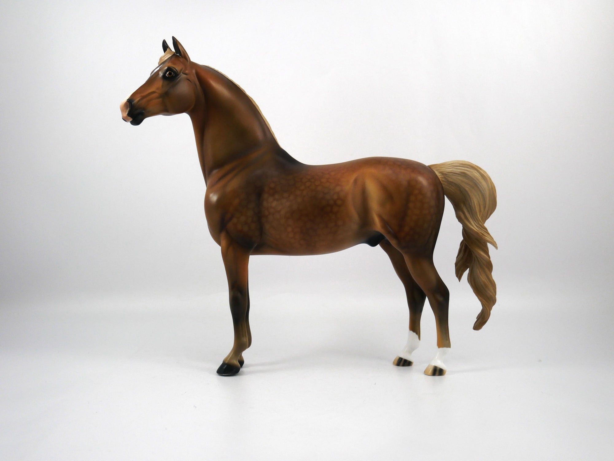 Brees-LE-15 Dapple Chestnut Morgan SB21