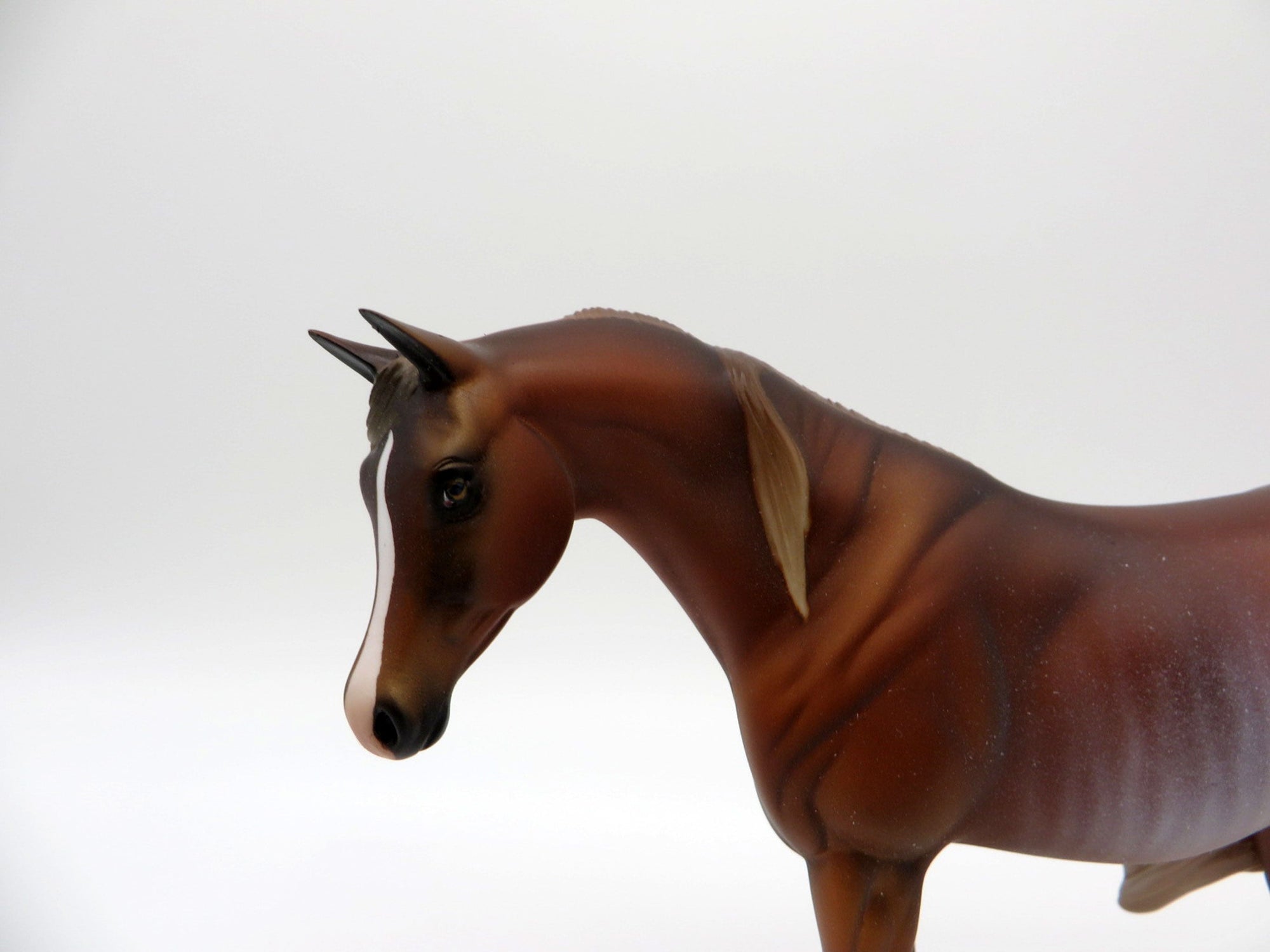 Breeze-OOAK Chestnut Rabicano Pebbles Arabian SHCF 2021