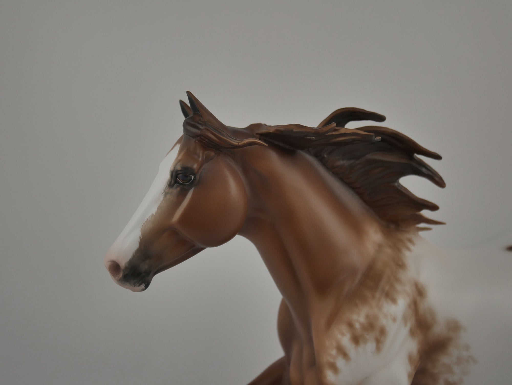 Brogen-Chestnut Appaloosa Running Quarter Horse By Sheryl Leisure 12/21/20