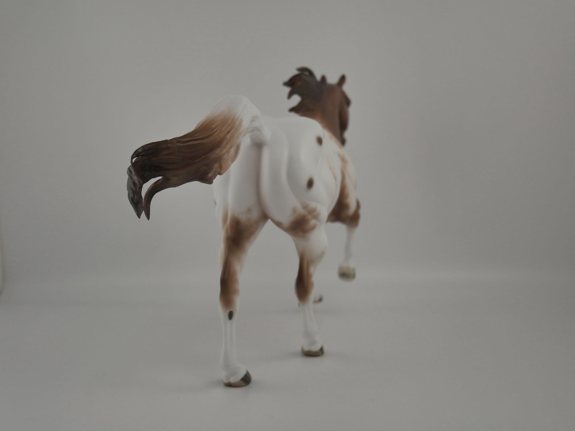 Brogen-Chestnut Appaloosa Running Quarter Horse By Sheryl Leisure 12/21/20