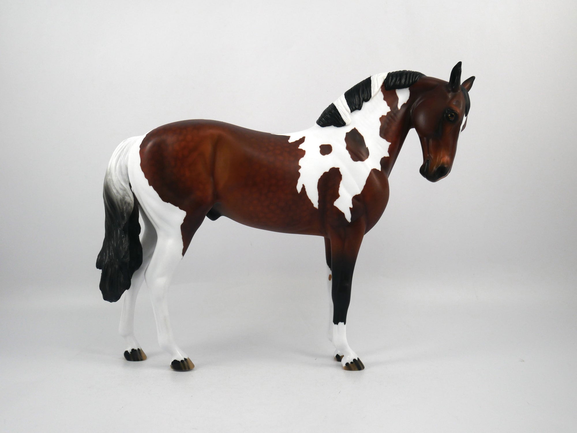 Buccaneer-OOAK Dapple Bay Paint Andalusian Painted by Audrey Dixon SB21