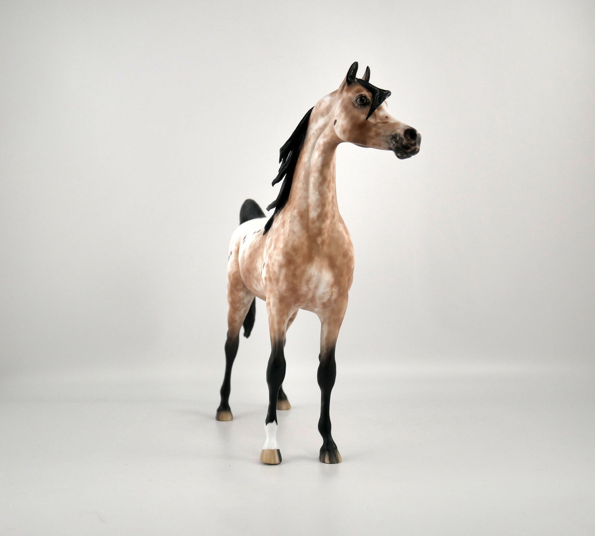 Buddy The Elf-OOAK Appaloosa Arabian By Sheryl Leisure 2/15/20