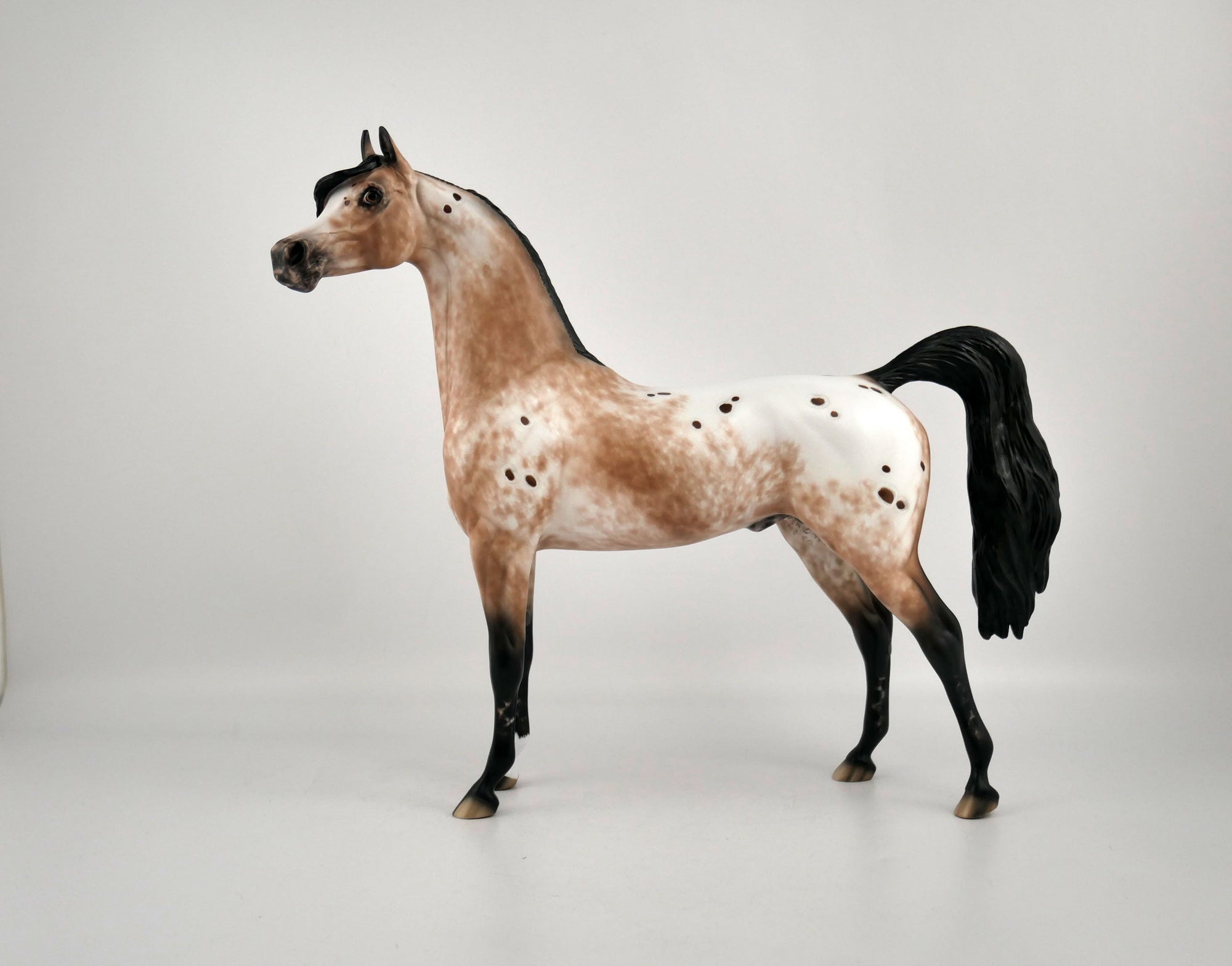 Buddy The Elf-OOAK Appaloosa Arabian By Sheryl Leisure 2/15/20