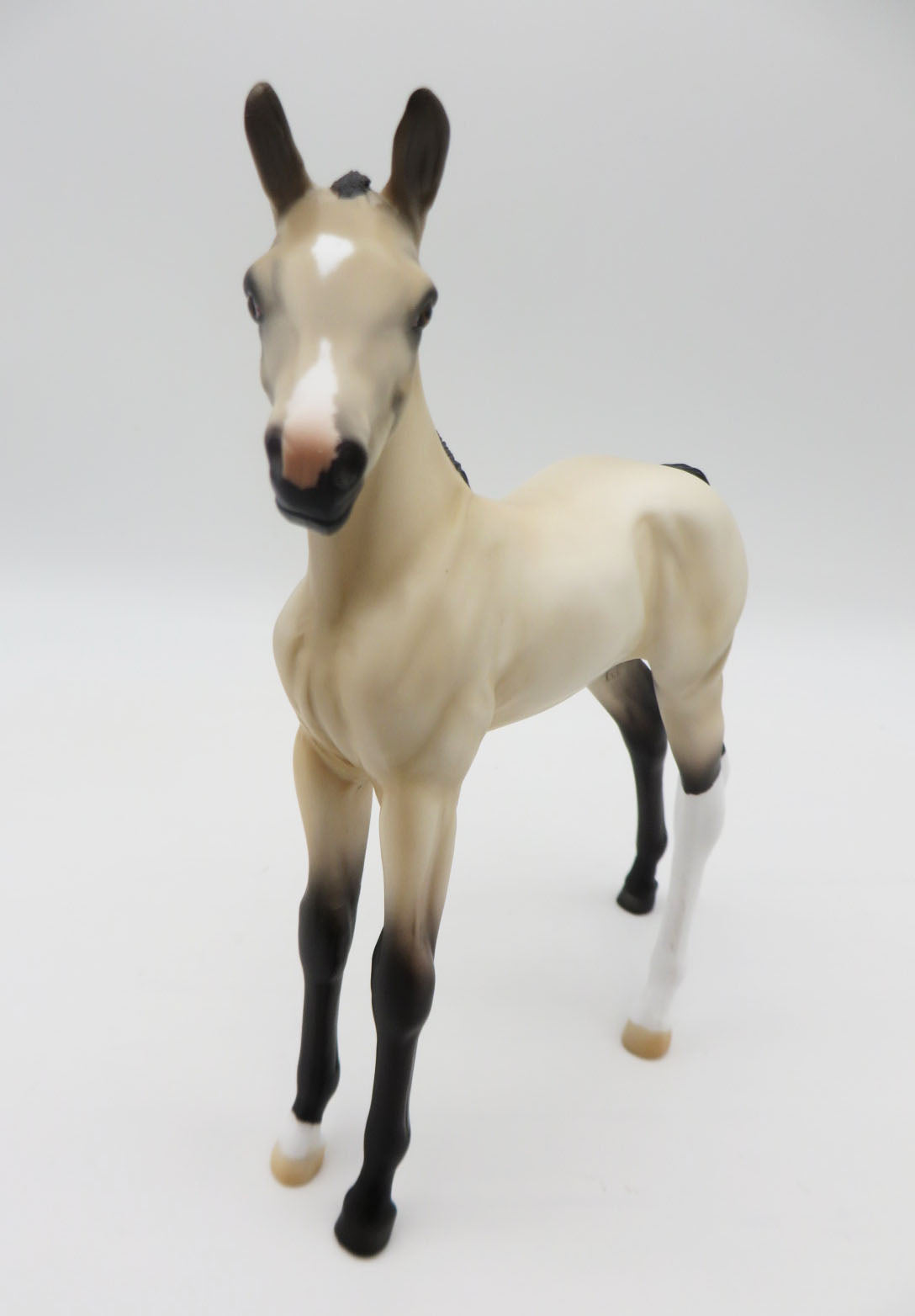 Buttermilk-OOAK Buckskin Foal by Angela Marleau P&C 23