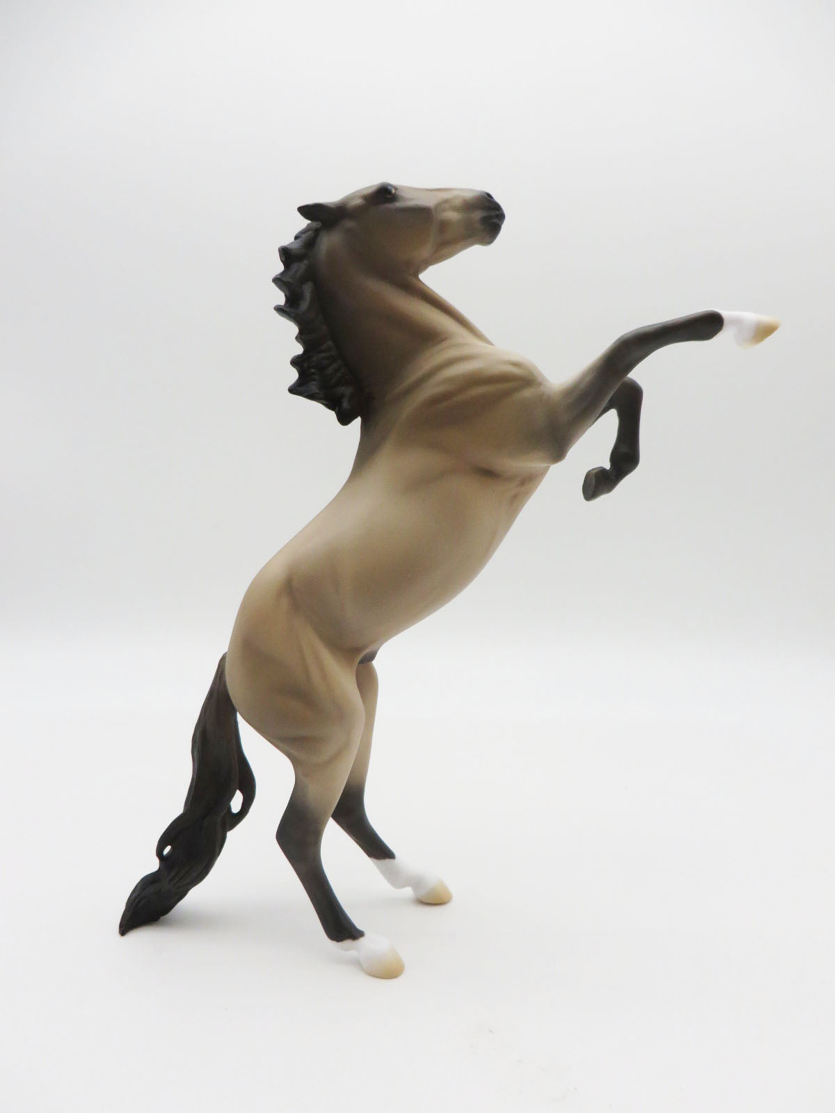 CATAMOUNT - OOAK - BUCKSKIN REARING MUSTANG PEBBLES BY JESS HAMILL LHS 22