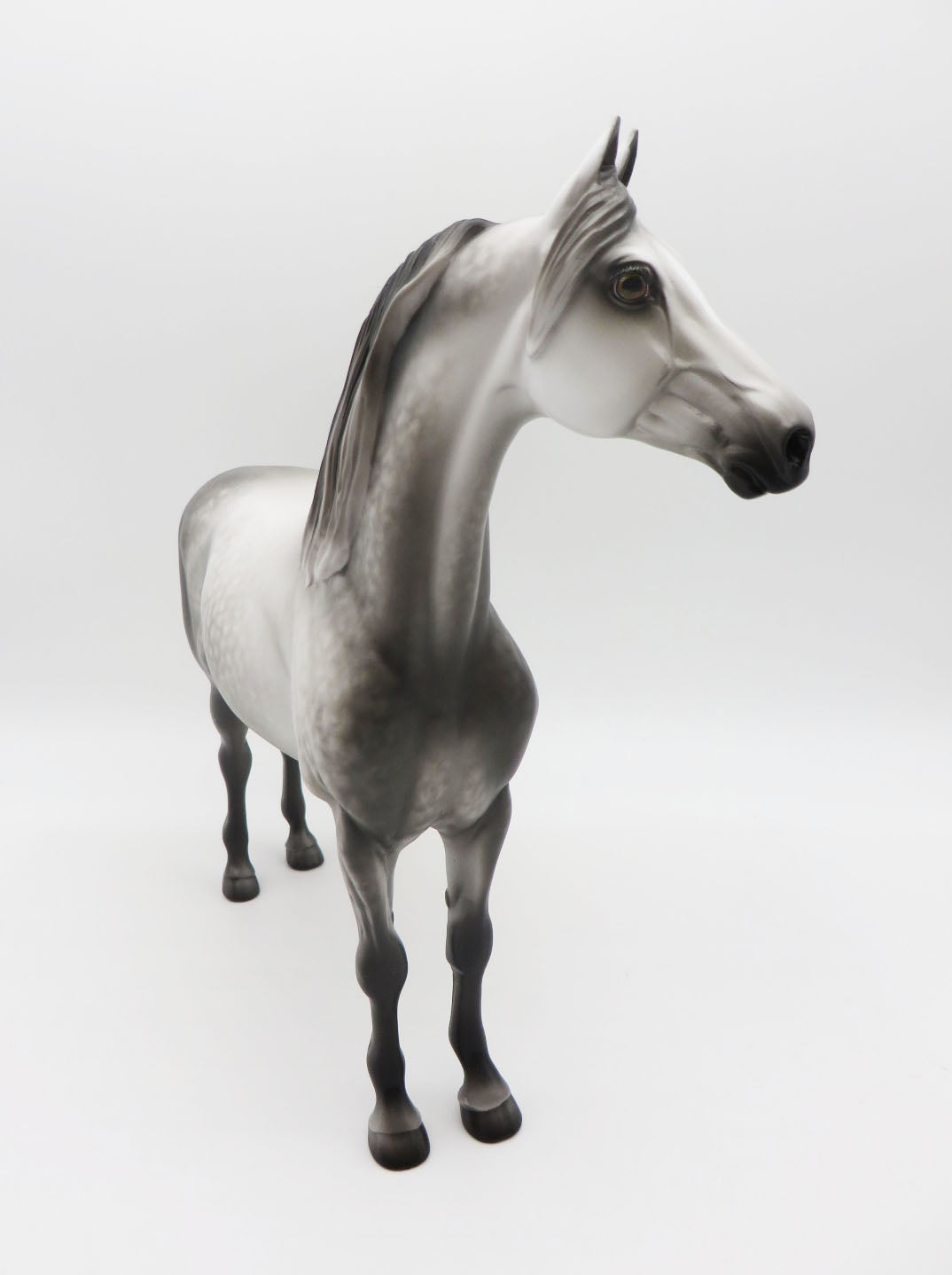 COME WITH ME - OOAK - DAPPLE GREY MORGAN PAINTED BY SHERYL LEISURE - BEST OFFERS - 10/21/22.