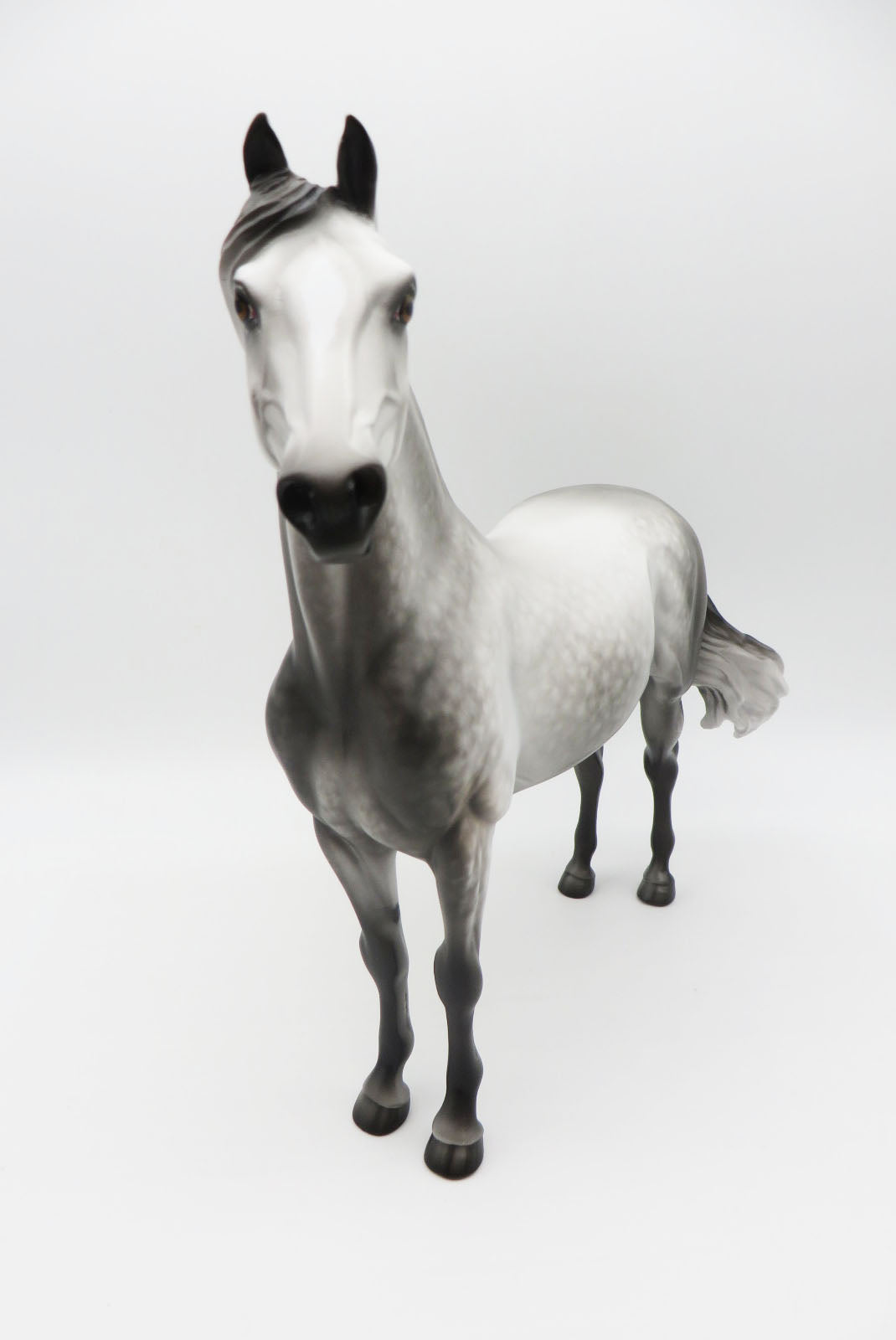 COME WITH ME - OOAK - DAPPLE GREY MORGAN PAINTED BY SHERYL LEISURE - BEST OFFERS - 10/21/22.