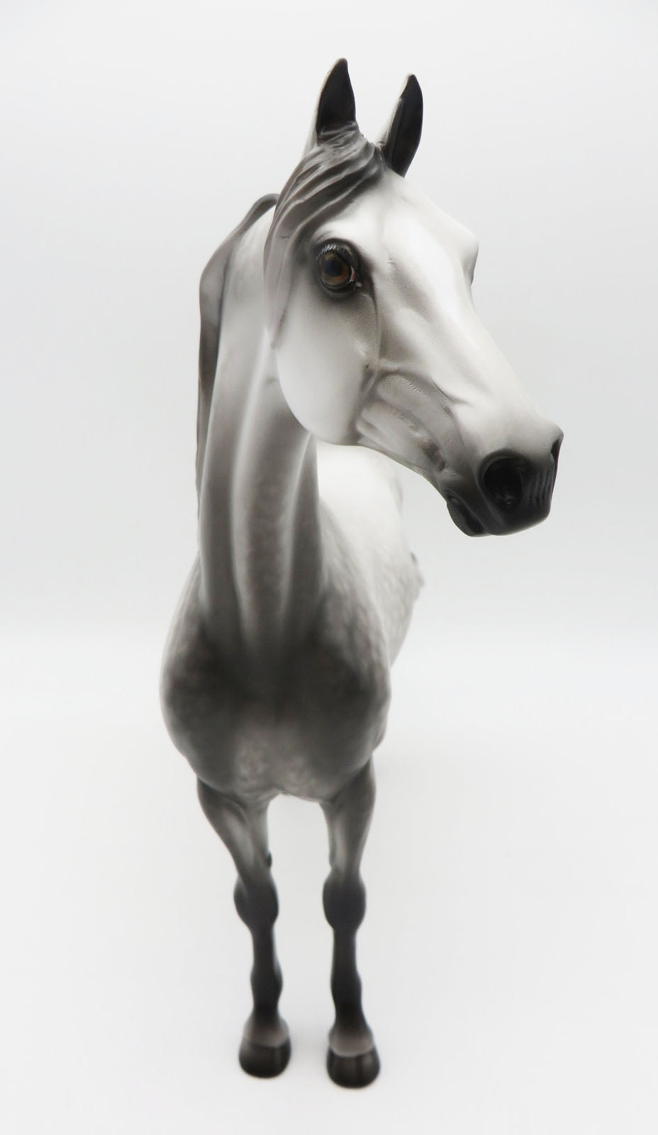 COME WITH ME - OOAK - DAPPLE GREY MORGAN PAINTED BY SHERYL LEISURE - BEST OFFERS - 10/21/22.